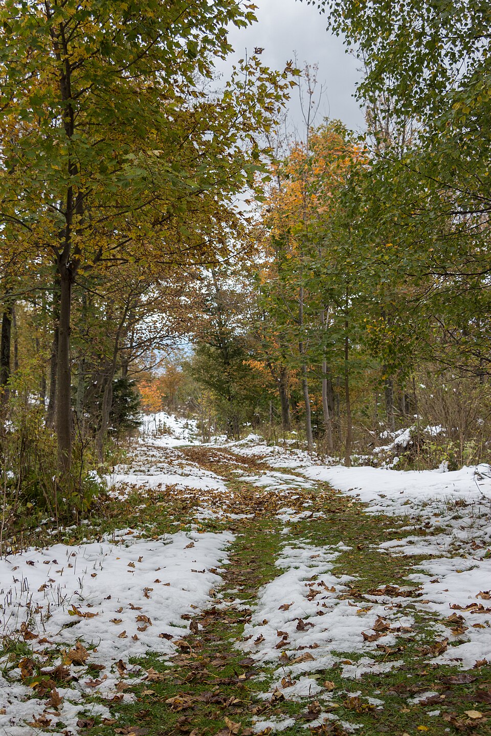 Path from Skalnate pleso to Tatranska Lomnica, High Tatras, Slovakia — travel photo of High Tatras