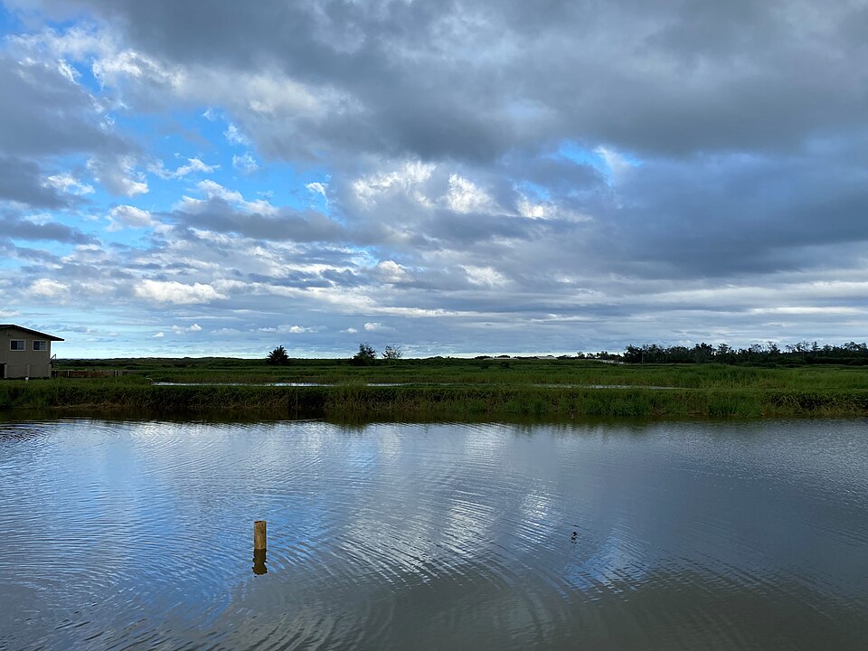 Shrimp farm in Kahuku on the North Shore of Oahu, Hawaii — travel photo of Kahuku, North Shore of Oahu
