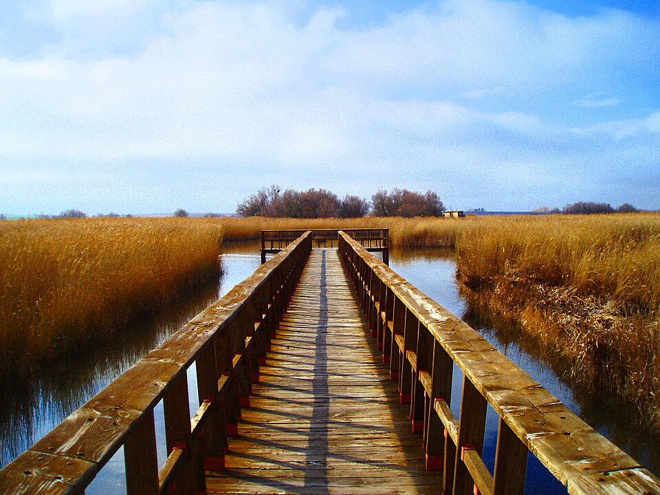 Las Tablas de Daimiel, Ciudad Real, España — travel photo of Tablas de Daimiel, Ciudad Real