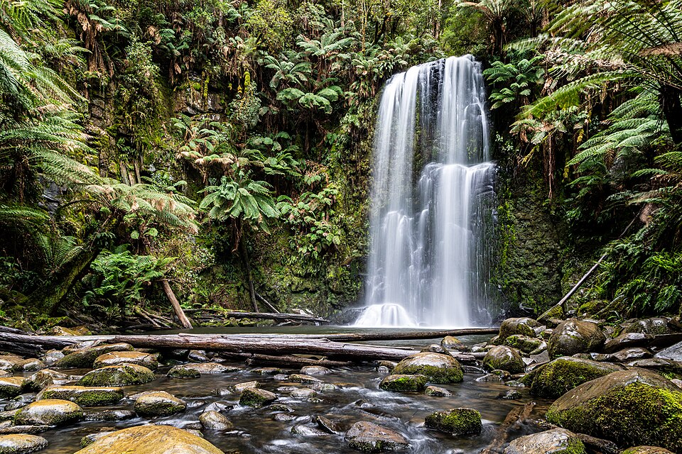 Beech Forest (AU), Great Otway National Park, Beauchamp Falls — travel photo of Great Forest Park