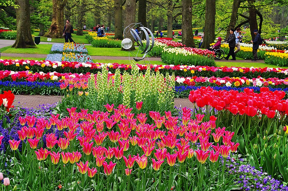 NL-keukenhof — travel photo of Keukenhof
