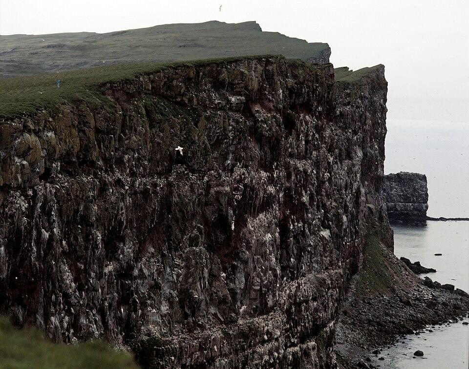 Látrabjarg — travel photo of Látrabjarg