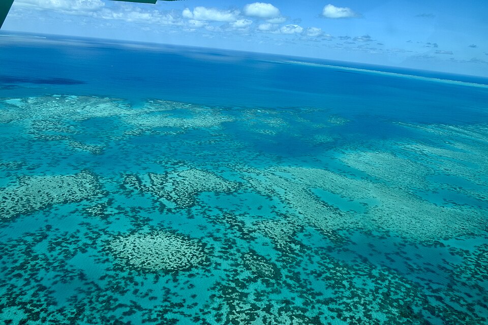 The Great Barrier Reef, Cairns, Queensland (Ank Kumar) — travel photo of Cairns and the Great Barrier Reef