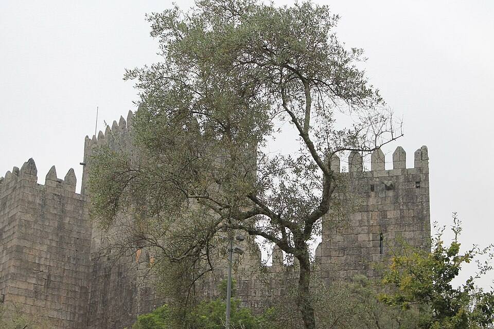Exterior view of Castelo de Guimarães — travel photo of Castelo de Guimarães, Guimarães