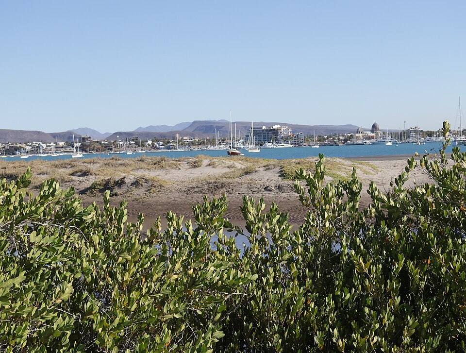 Vista de La Paz desde el manglar El Mogote en Baja California Sur — travel photo of El Mogote, La Paz