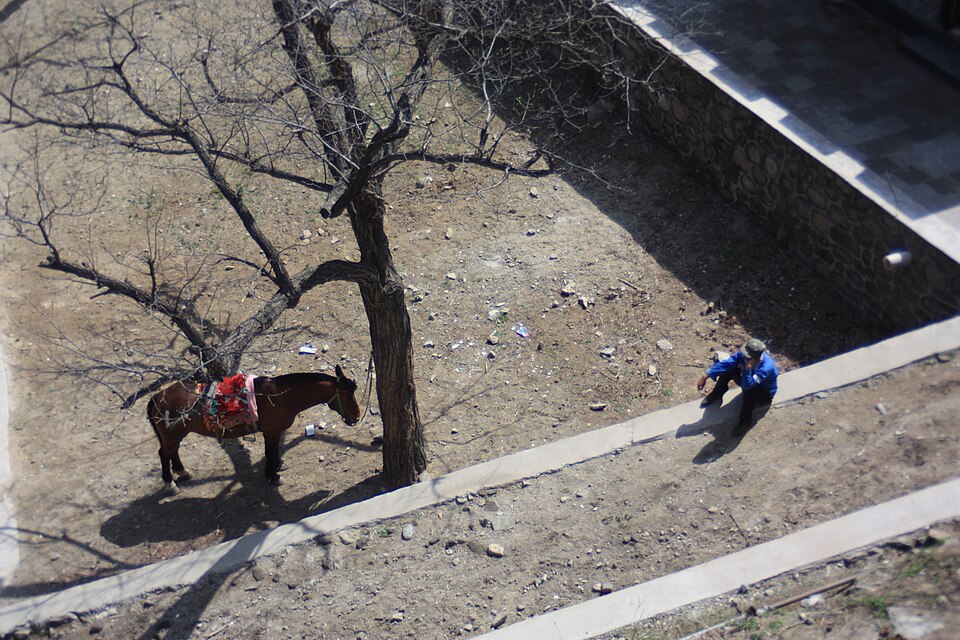 Horse and man in Huairou, Beijing, China — travel photo of Huairou