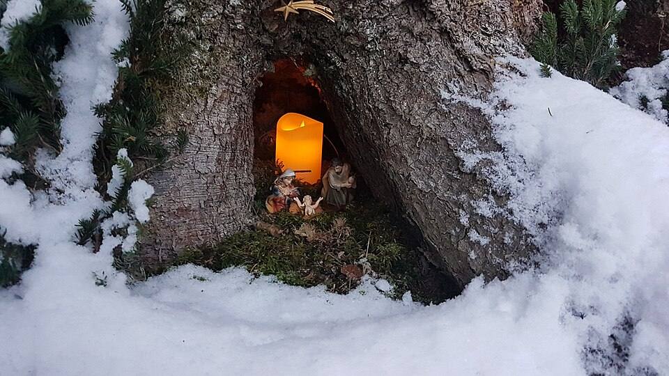 Simple Christmas crib in a hollow tree in Frastanz-01ASD — travel photo of Christmas crib