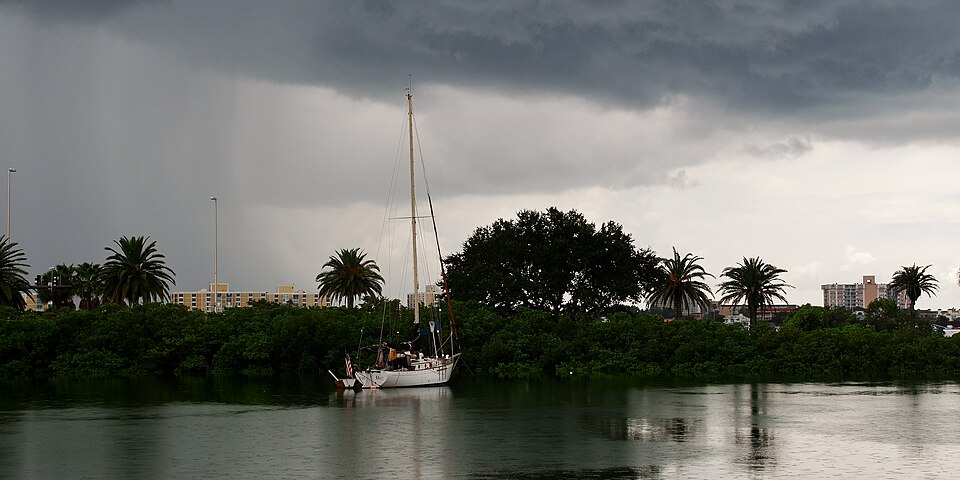View from Clearwater Marine Aquarium — travel photo of Clearwater Marine Aquarium, St. Petersburg & Clearwater