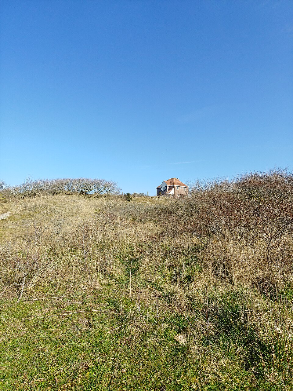 Domburg, Zeeland, vakantiehuis — travel photo of Zeeland & Domburg, The Netherlands