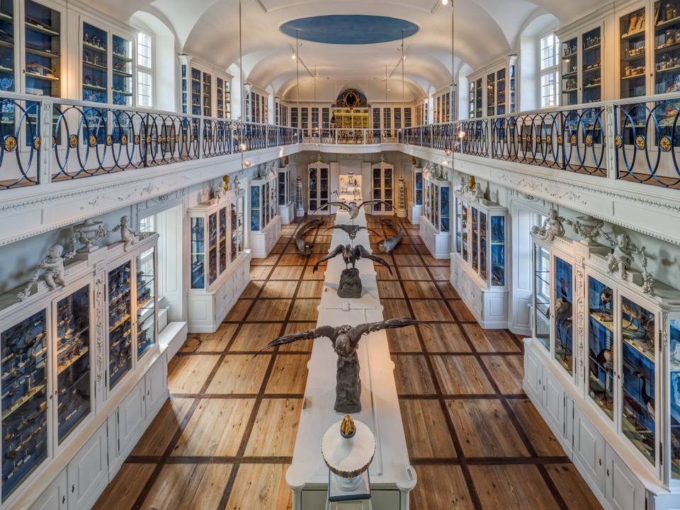 Bamberg Naturkundemuseum Vogelsaal 926449506HDR — travel photo of Bamberg