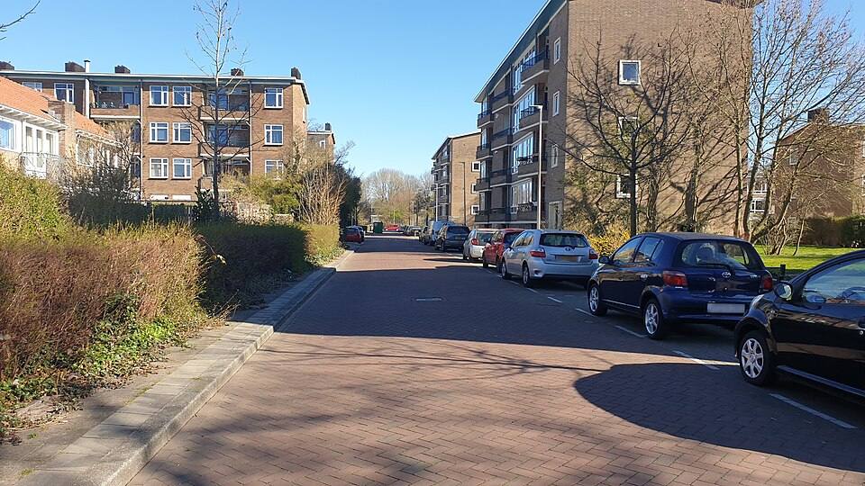 Huis ten Boschlaan (street in Utrecht, the Netherlands) — travel photo of Utrecht, The Netherlands
