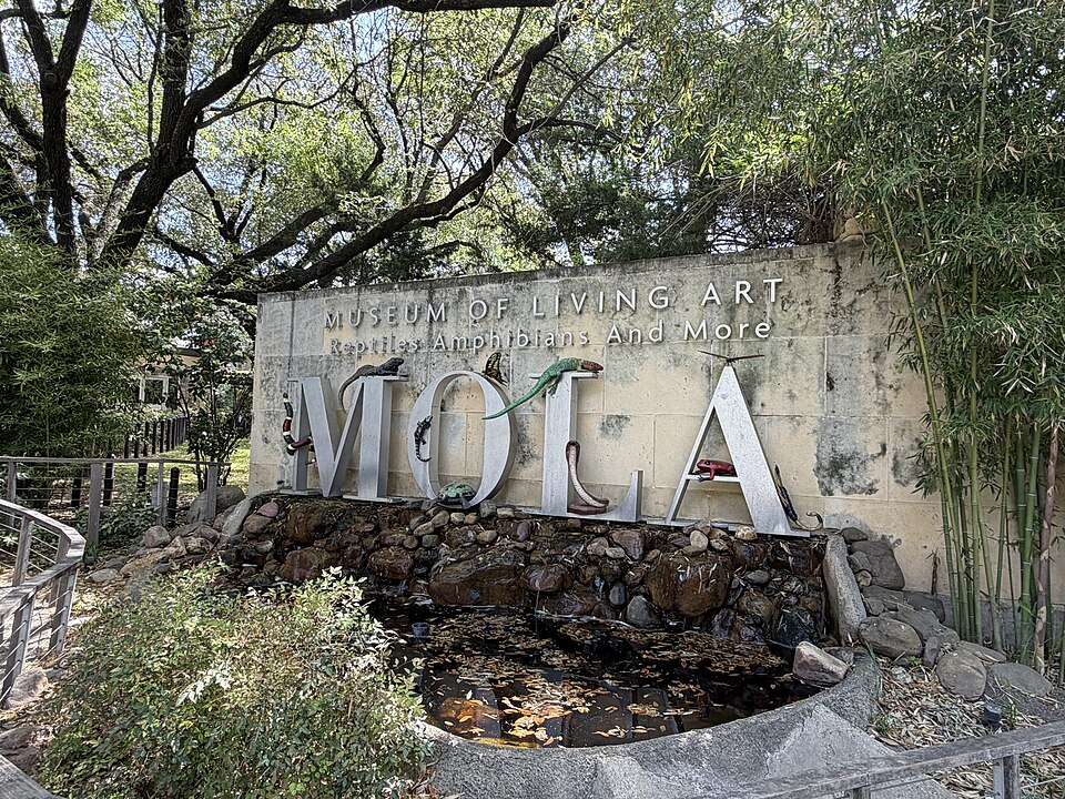 Museum of Living Art Fort Worth Zoo, March — travel photo of Fort Worth Zoo, Fort Worth