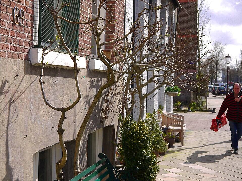 Photo of a sunwalk in the street Ruysdaelkade, De Pijp in Amsterdam city with facade gardens in Spring by Fons Heijnsbroek. People are walking over the sidewalk pavement - free download photo in high resolution, The Netherlands — travel photo of De Pijp, Amsterdam
