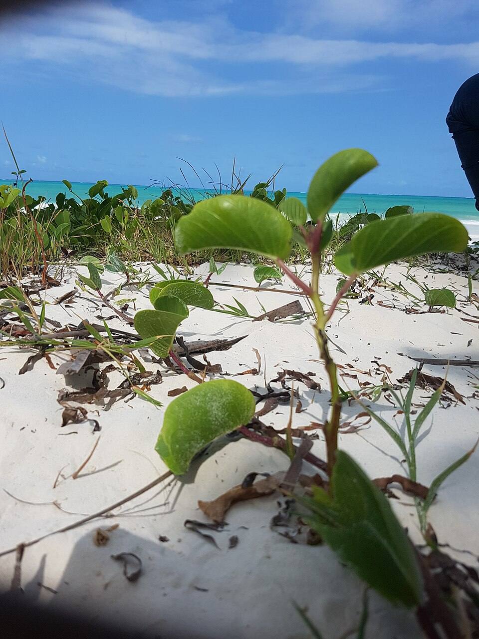 Paje beach — travel photo of Paje