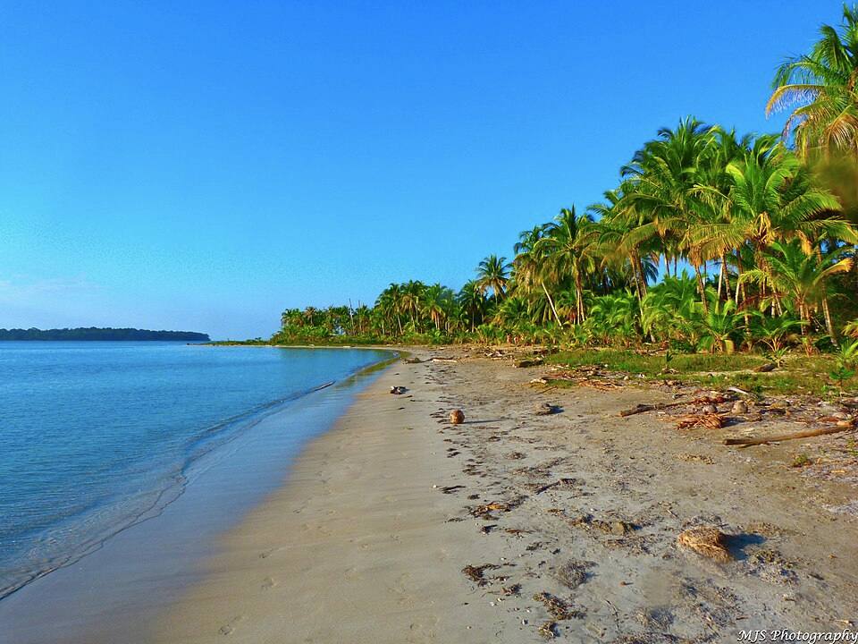 Paradise - Bocas del drago ( ) — travel photo of Bocas del Drago, Bocas del Toro