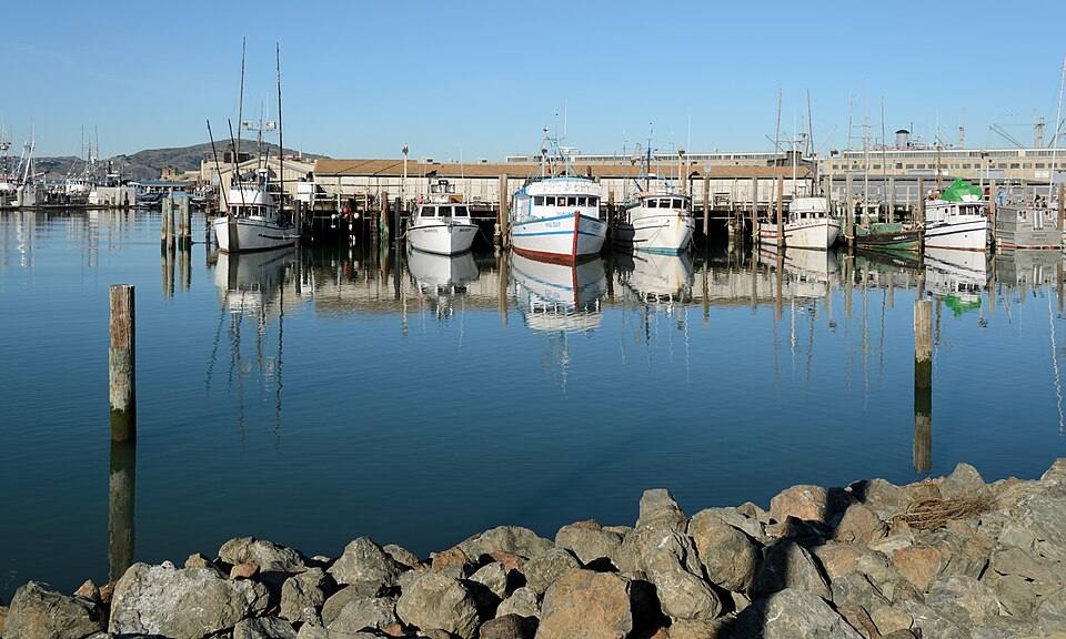 Fisherman's Wharf San Francisco January — travel photo of Fisherman's Wharf, San Francisco