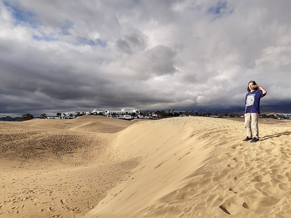 RIU hotel, Playa del Inglés, Gran Canaria, from the dunes — travel photo of Playa del Inglés
