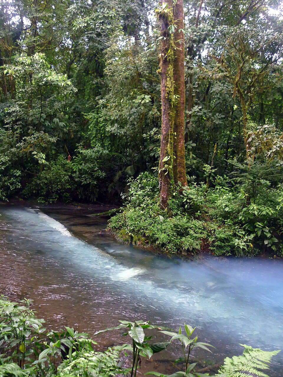 Rio Celeste. Parc natural Volcan Tenorio. Bijagua de Upala — travel photo of Bijagua