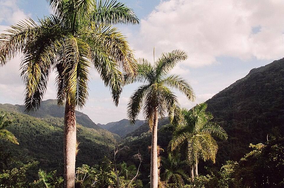 Trail to Caburni, Topes de Collantes — travel photo of Topes de Collantes, Trinidad