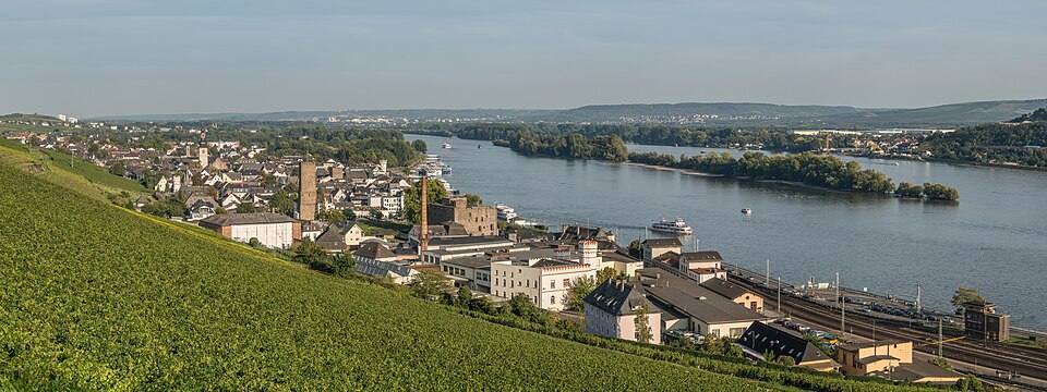 Panoramic View of Rüdesheim am Rhein 1 — travel photo of Rüdesheim