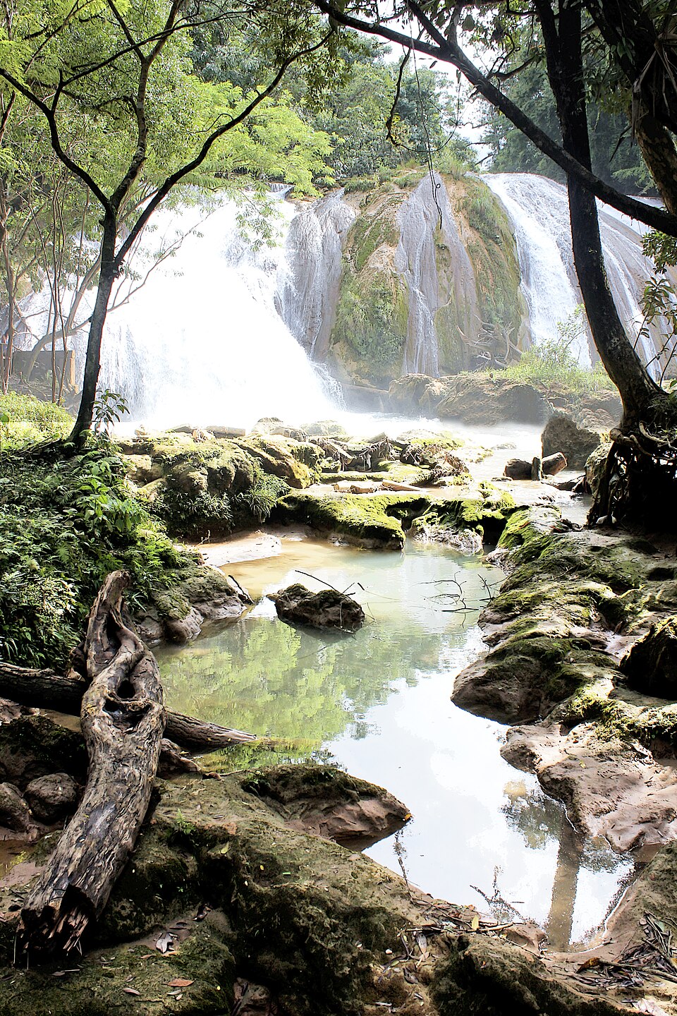 Cascadas de Agua Azul - Chiapas — travel photo of Agua Azul, Palenque