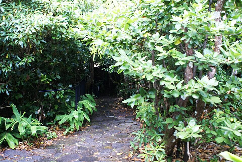 Gruta das Torres, acesso, Criação Velha, concelho da Madalena do Pico, ilha do Pico, Açores, Portugal — travel photo of Gruta das Torres, Azores — Pico