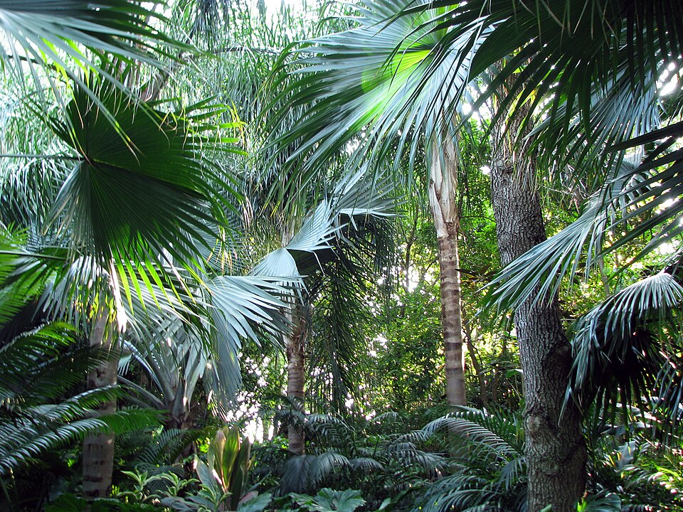 Discovery Cove, Orlando - (3) — travel photo of Discovery Cove