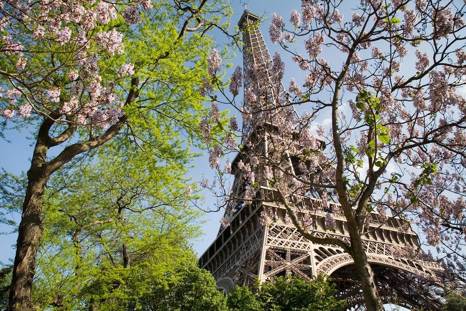 Paris - The Eiffel Tower in spring — travel photo of Paris, France