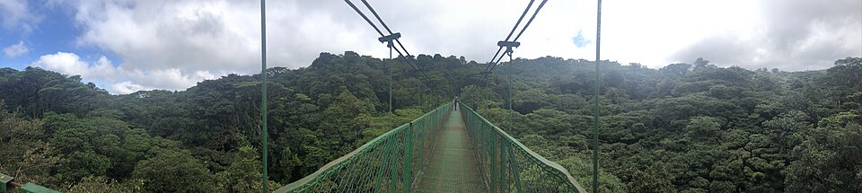 One of the Skywalk Hanging Bridges at Sky Monteverde in Costa Rica — travel photo of Monteverde, Costa Rica