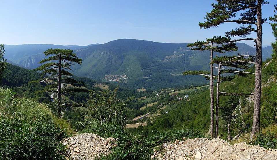 Durmitor, canyon Tara - Montenegro — travel photo of Durmitor & Tara, Montenegro