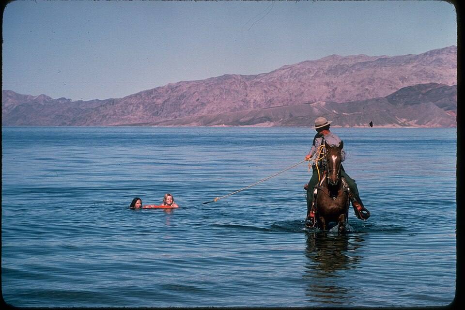 Lake Mead National Recreation Area LAME3645 — travel photo of Lake Mead NRA
