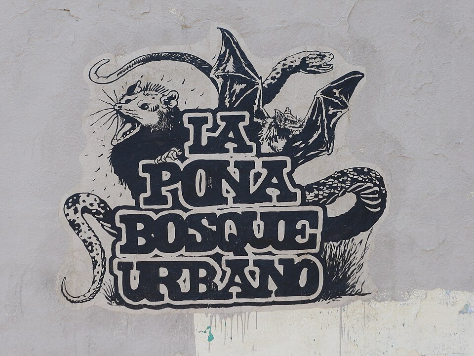 Propa de La Pona Bosque Urbano en la avenida López Mateos — travel photo of Avenida López Mateos