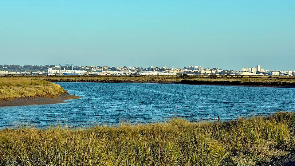 Estero de las marismas del Río Odiel, con la ciudad de Huelva al fondo JGL8949 — travel photo of Huelva