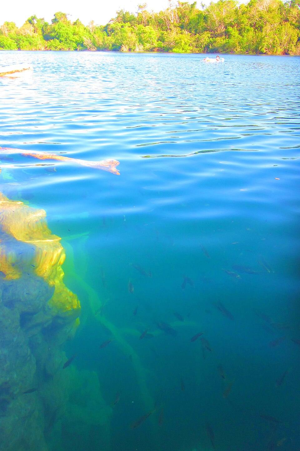 Atardecer en el Cenote Azul, Bacalar, Q. Roo — travel photo of Cenote Azul, Bacalar