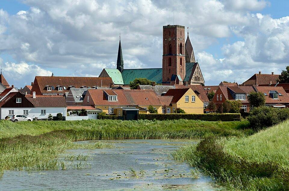 Ribe panorama Denmark ( — travel photo of Ribe, Denmark
