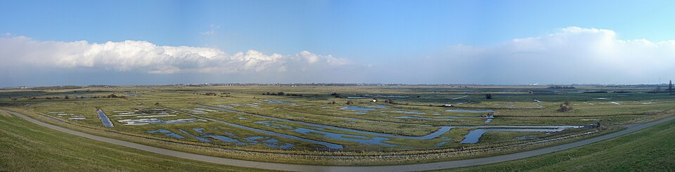 Panorama Yerseke Moer — travel photo of Yerseke
