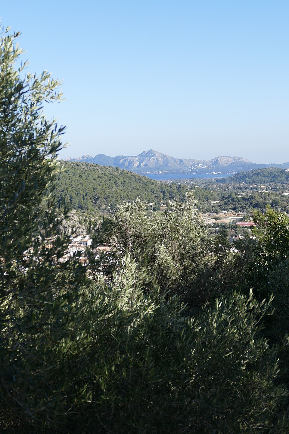 Views from El Calvari towards Pollença — travel photo of Pollença, Mallorca