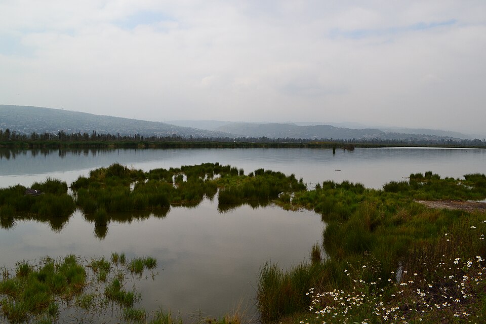 Visión del lado de Tláhuac desde el húmedal la espejera — travel photo of Tláhuac, Xochimilco