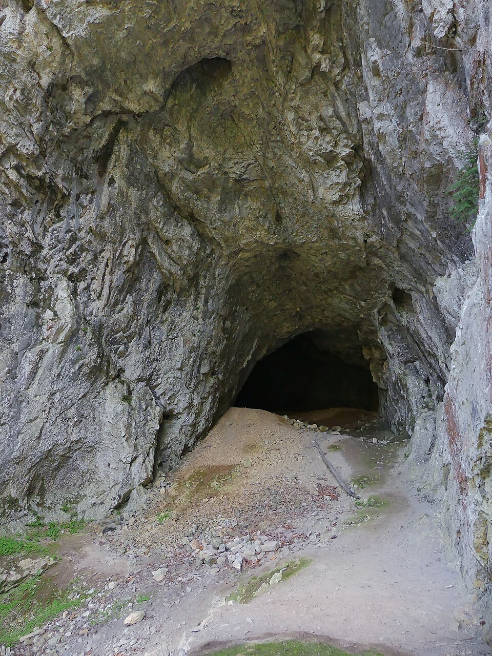 Moravian Karst protected Landscape area, north of the Brno City, Czechia, Europe — travel photo of Moravian Karst, Brno