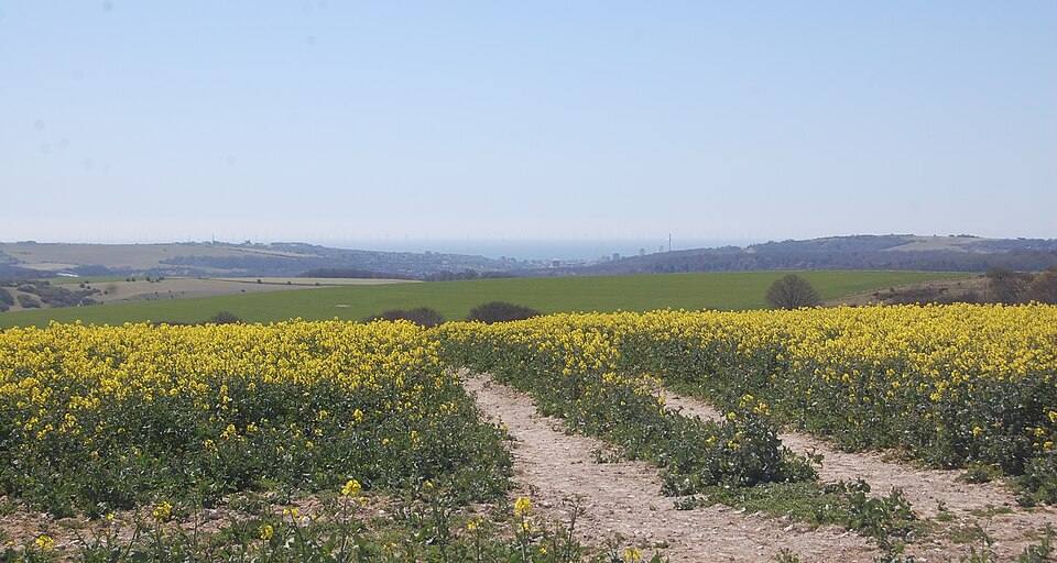 Distant Southwestward view of Brighton and Hove from the South Downs Way above Plumpton (April ) — travel photo of Brighton, Brighton & the South Downs