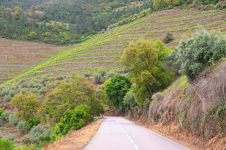 Alto Douro wine region road in Vila Nova de Foz Côa, Portugal — travel photo of Vila Nova de Foz Côa, Douro Valley