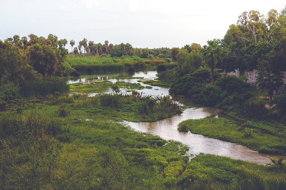 Estero San José — travel photo of Estero San José, San José del Cabo