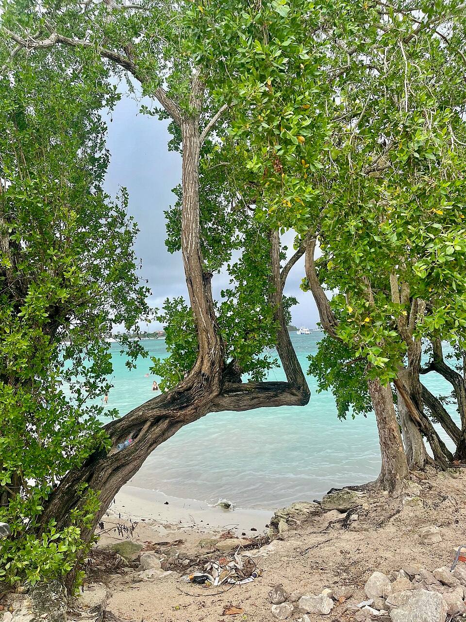 Bayahíbe beach — travel photo of Bayahíbe