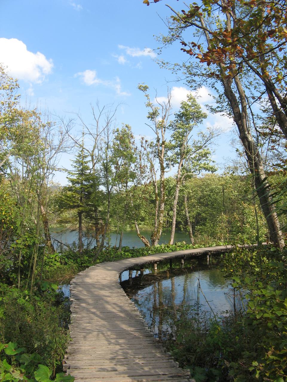 A bridge in Plitvice lakes national park, Croatia — travel photo of Plitvice Lakes, Croatia
