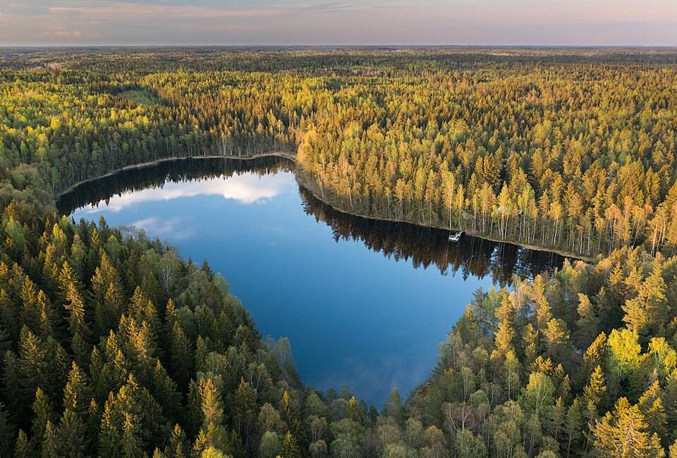 Bisajärvi in evening light from the southwest in Sipoonkorpi, Vantaa, Finland, May — travel photo of Finland