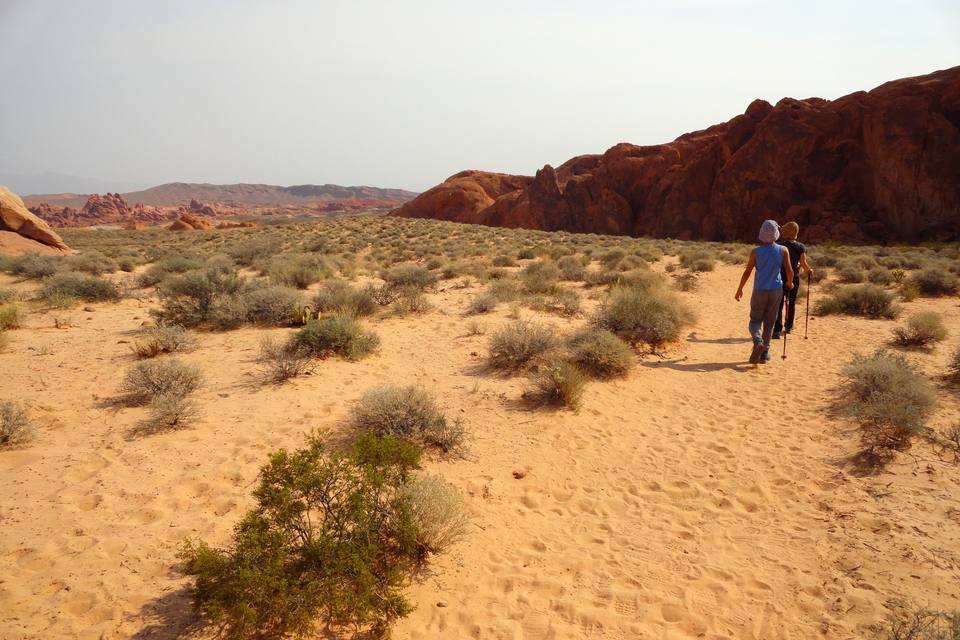 Fire Wave Trail, Valley of Fire ( ) — travel photo of Fire Wave, Valley of Fire