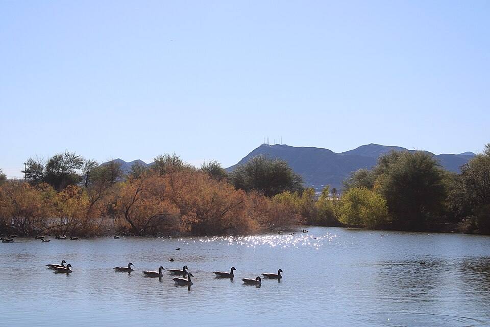 Henderson Bird Viewing Preserve Dec — travel photo of Bird Viewing Preserve, Henderson