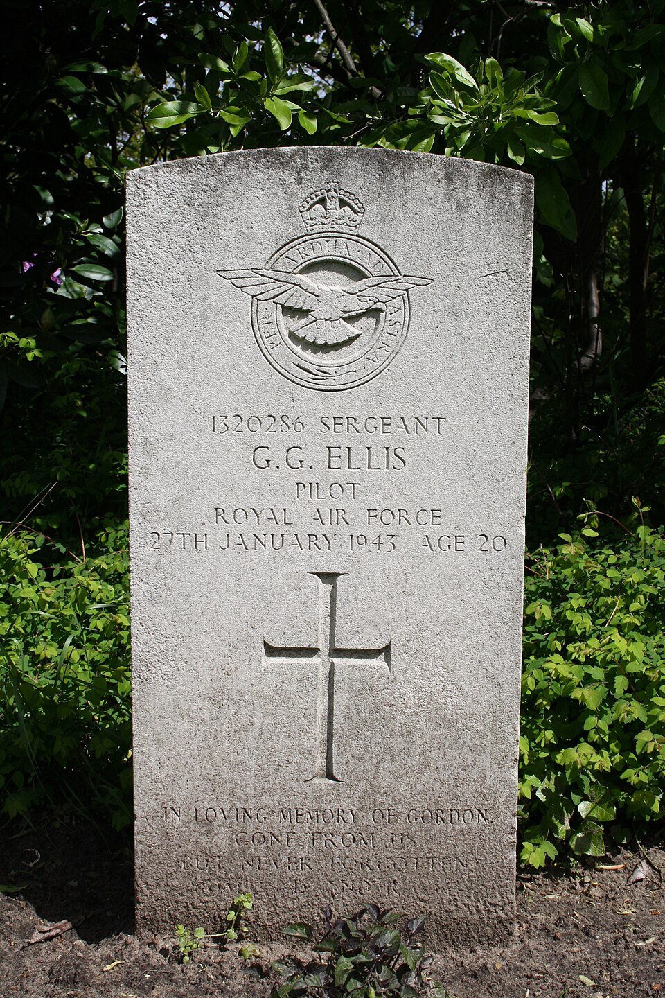 Den Burg cemetery - G.G. Ellis - R.A.F. — travel photo of Den Burg, Texel & the Wadden