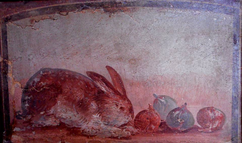 "Rabbit and four figs" ( - AD) painted plaster from Herculaneum, found year - Exhibition "Herculaneum and Pompeii Vision of Discovery" up to September, at the Archaeological Museum of Naples ( ) — travel photo of Herculaneum, Naples & Pompeii